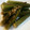 碧ぃ苺's cooksnap of when they made オクラの焼き浸し♪簡単副菜一品.