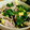 うぅこちゃん's cooksnap of when they made 簡単！ツルムラサキと木耳と豚肉と卵炒め.