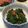 ienomisake's cooksnap of when they made モロヘイヤときのこの明太子あえ♪.