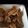 ﾌﾞﾌﾞ's cooksnap of when they made うどんのお供＊ピリ辛醤油豚ロース.