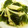 由芽15's cooksnap of when they made えのきとわかめの味ぽん和え.