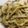今日もニコッ☆'s cooksnap of when they made 野菜たっぷり　焼きうどん.