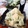 mooooooog's cooksnap of when they made 材料4つで簡単★もちもち抹茶わらび餅.
