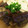 cookーMK's cooksnap of when they made かんたん茄子の煮浸し☆.
