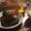 クック6E5D9O☆'s cooksnap of when they made ふわふわやわらかハンバーグ.
