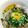 ノエル・ギャラガー's cooksnap of when they made 春の味覚☆生しらす丼.