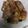 ハングル's cooksnap of when they made ズッキーニの豚肉巻き.