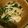 めぐみんキッチン♪'s cooksnap of when they made 疲労回復副菜！えのきとニラのキムチ和え.