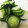 クック8KB7FJ☆'s cooksnap of when they made 【簡単】彩り野菜の浅漬け.