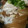 CoffeeCoco's cooksnap of when they made 大根と豆腐の炒め煮（お袋風味）.