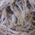 クックHGEKWD☆'s cooksnap of when they made 簡単！もやしのナムル.