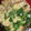 はるか＊ワーママ's cooksnap of when they made ものぐさ夫が病床の妻に作る簡単おじや.