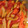 kicin1220's cooksnap of when they made 牛すじとセロリとトマトの爽やか炒め♪.