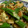 elfschritt's cooksnap of when they made 豆腐とオクラの中華風炒め.
