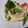 ホッと。's cooksnap of when they made ふわとろ♪チーズオムライス.