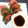 なすおっさん's cooksnap of when they made トマトをはさんだ鰹のタタキの一口おつまみ.