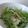 kyoko＊k's cooksnap of when they made 水菜と長芋のサラダ副菜.