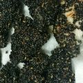 じろうかじゃ's cooksnap of when they made ささみの3色ごま衣揚げ.