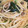 nica225's cooksnap of when they made 麺つゆで小松菜としらすの簡単和風パスタ♪.