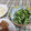 よちりん's cooksnap of when they made きゅうりの塩漬け、簡単♪.