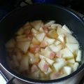 nj0618's cooksnap of when they made 冬瓜のコンソメ煮.