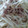 板の間の娘's cooksnap of when they made 簡単✿もやしと挽肉の中華炒め.