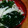 romann's cooksnap of when they made ■超簡単 『わかめとえのきのスープ』講座.