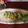 ナピト's cooksnap of when they made ついてきたパセリ→元気↑☆卵焼き.