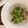ナピト's cooksnap of when they made セロリとベーコンのクレイジーソルト炒め.