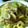 maruru-nn's cooksnap of when they made 休日お昼の定番！しょうゆ味の焼きうどん.