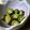 maruru-nn's cooksnap of when they made 簡単☆おくらのワサビ風味.