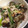 らんらんぷりん's cooksnap of when they made タイ料理 ナスと厚揚げの煮物.
