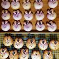 ぶるーぽぴー's cooksnap of when they made ハロウィンな紫いもパン.