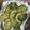 クックFBXUI9☆'s cooksnap of when they made *アボカドの簡単チーズ焼き*.
