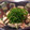 クックOWWAFM☆'s cooksnap of when they made しっとりささ身のゆかり餡かけ.