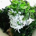 ユーロン's cooksnap of when they made ヘルシーしらす丼～柚子胡椒風味～.
