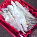nosso's cooksnap of when they made ささがきごぼうのサラダ.