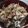 ハラペコムシ's cooksnap of when they made 男の胃袋を掴む豚丼！.