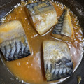 マメ柴's cooksnap of when they made ☆塩さばでさば味噌☆.