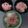 クックTM3A8Y☆'s cooksnap of when they made ☆キャラ弁☆星のカービィ.