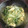 みゆwaco 's cooksnap of when they made 水菜と油揚げの煮物.