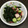 o料理見習君o's cooksnap of when they made タコとキュウリの酢の物.