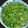 クック5XRIIN☆'s cooksnap of when they made ヘルシー！モロヘイヤとオクラのねばねば.