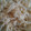 kyasa4515's cooksnap of when they made ★簡単！大根とホタテの水煮缶のサラダ★.