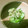 毎日楽しい's cooksnap of when they made 胡瓜と茗荷の浅漬け.