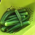 じんこじんこ's cooksnap of when they made ＊オクラの下処理&茹で方＊.