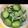 masae0608's cooksnap of when they made きゅうりの酢の物.