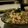 ☆RUN☆'s cooksnap of when they made ゴーヤの梅マヨサラダ☆.