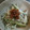 和芥子's cooksnap of when they made 簡単＊きゅうり＊ごぼうの梅サラダ！.