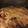 yuuki0205's cooksnap of when they made 簡単☆かぼちゃグラタン.